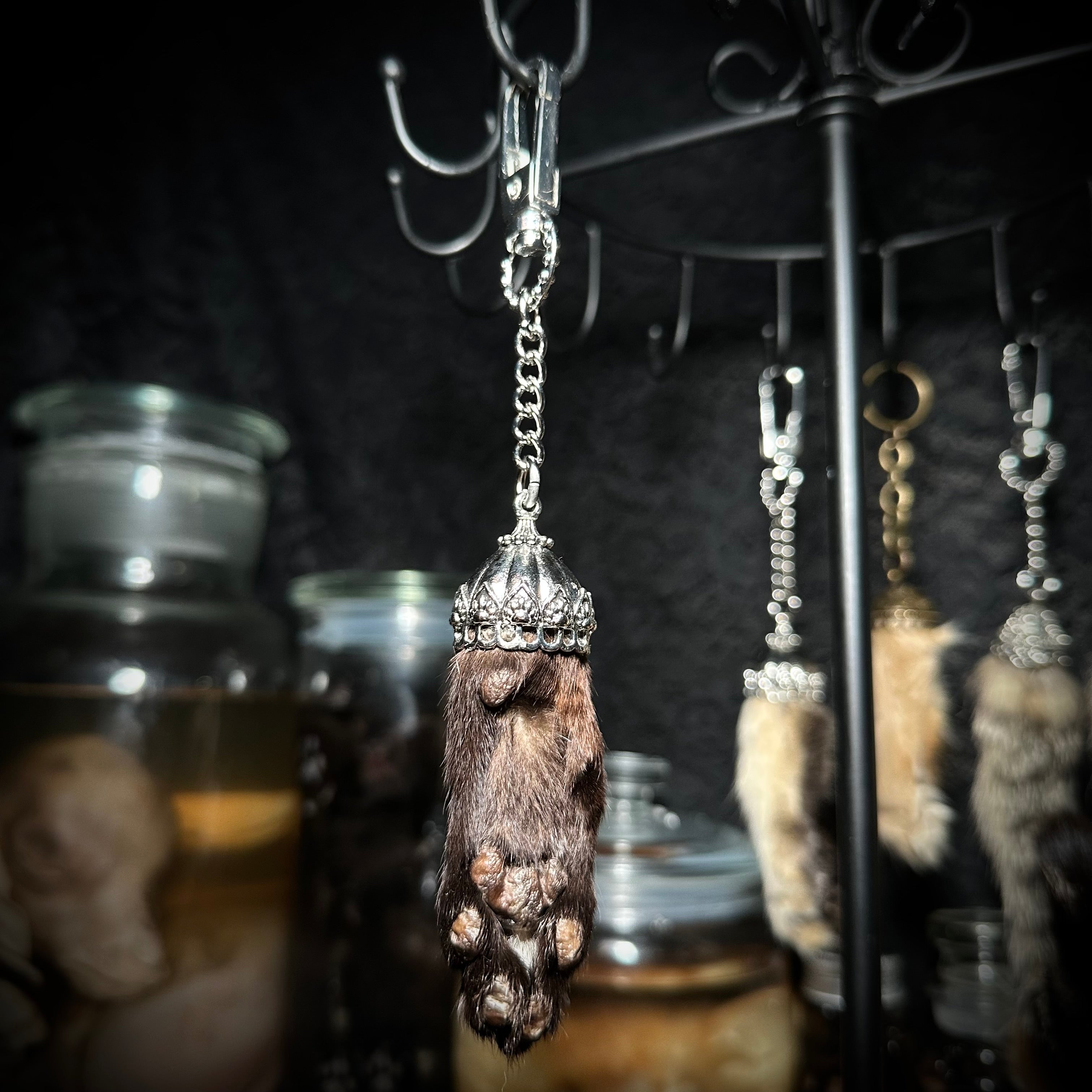 Mummified Cat paw keychain