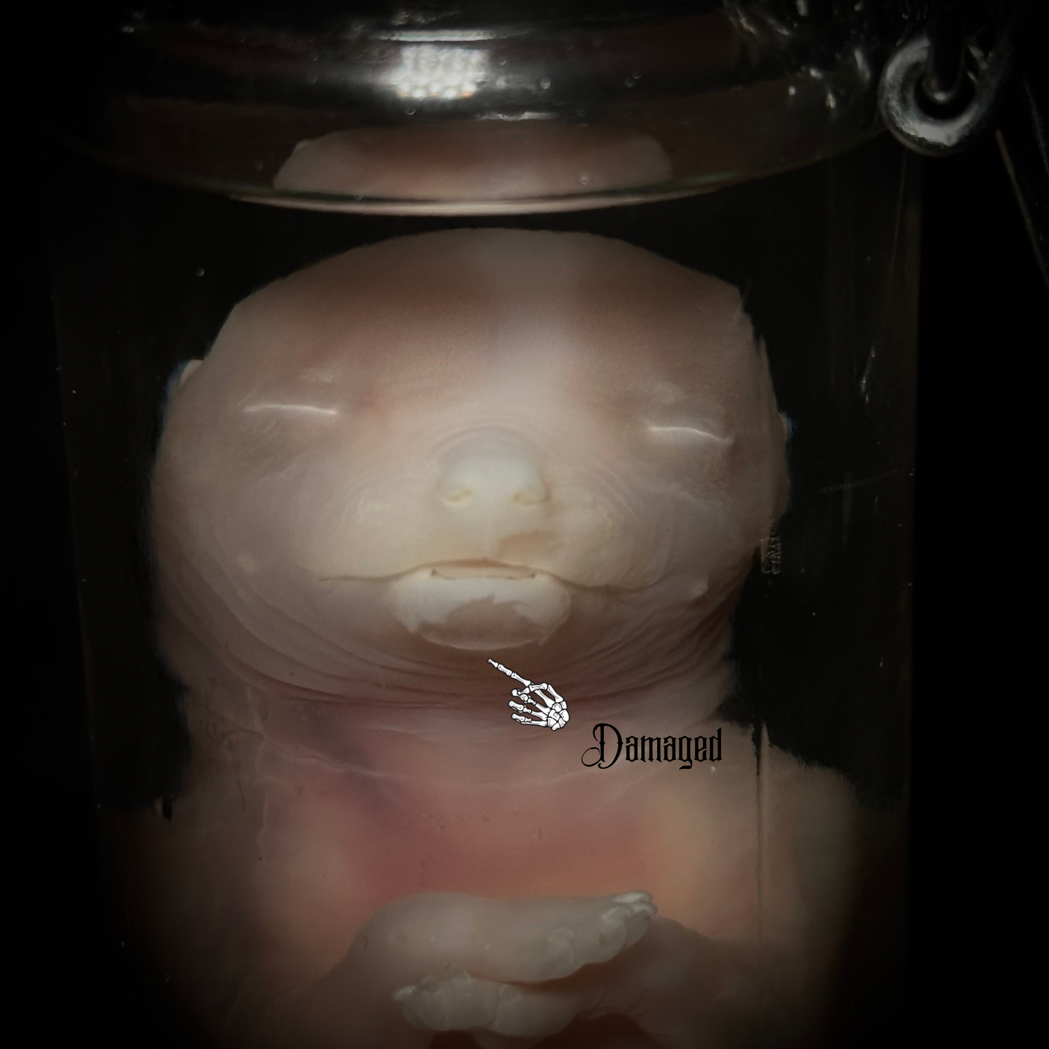 Fetal pup (discounted)