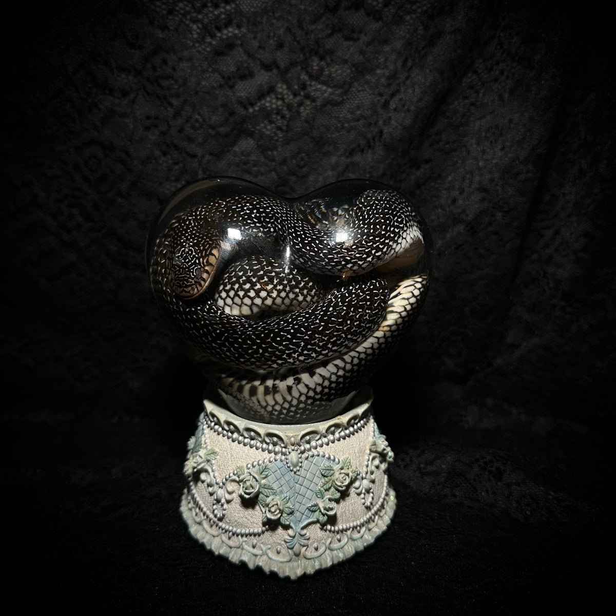 Speckled Kingsnake musical specimen