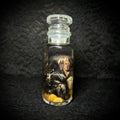 Stillborn Chicken (chick)