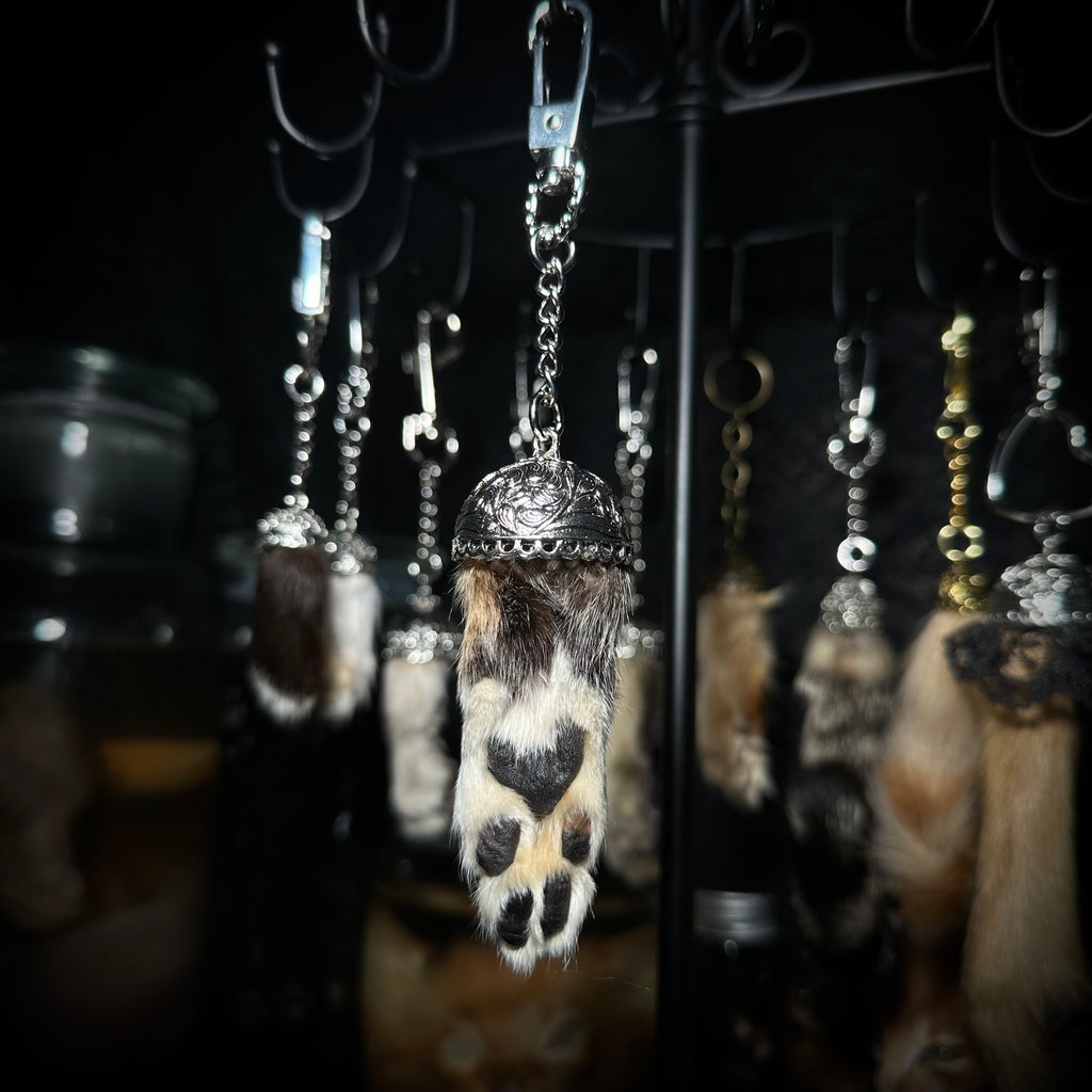 Mummified Cat paw keychains