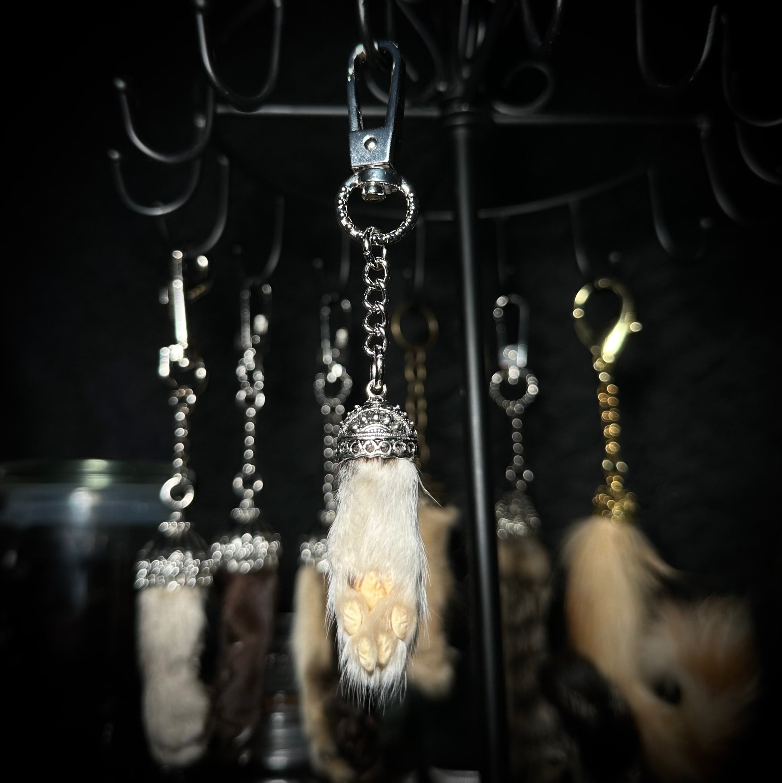 Mummified kitten paw keychains