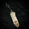 Mummified White cat paw keychain