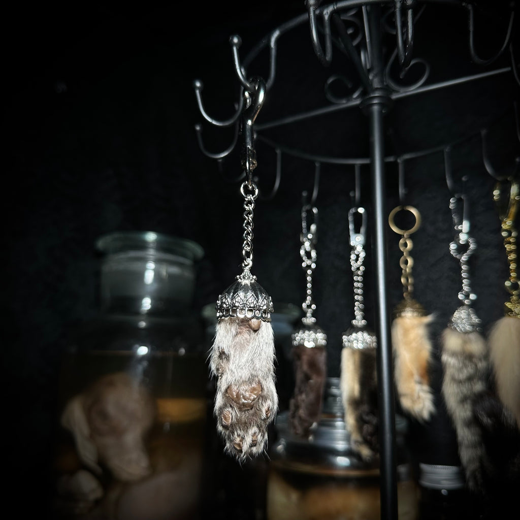 Mummified Cat paw keychain