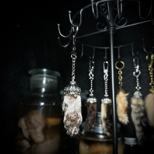 Mummified Cat paw keychain