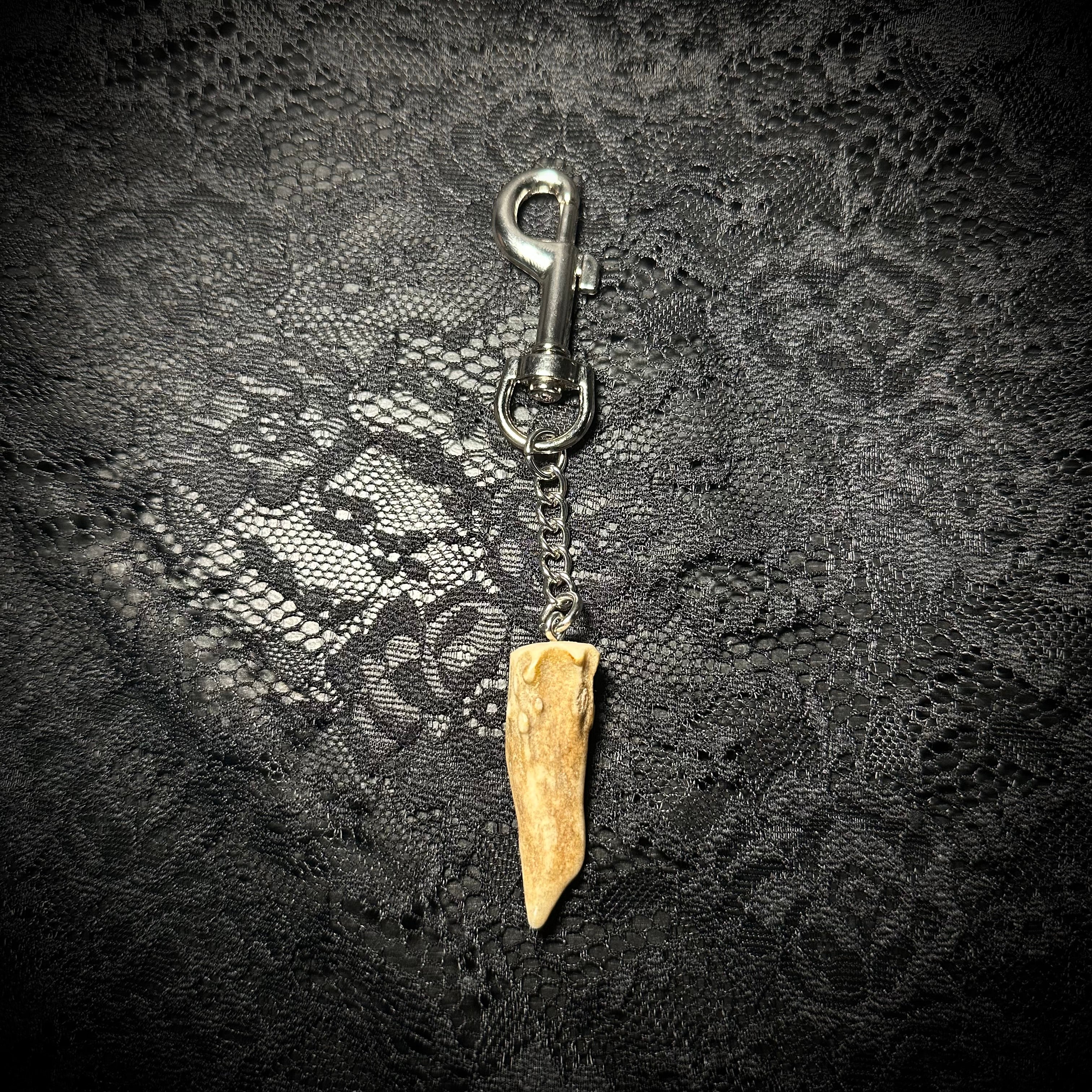 Deer antler keychain