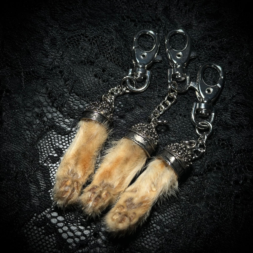 Mummified kitten paw keychains