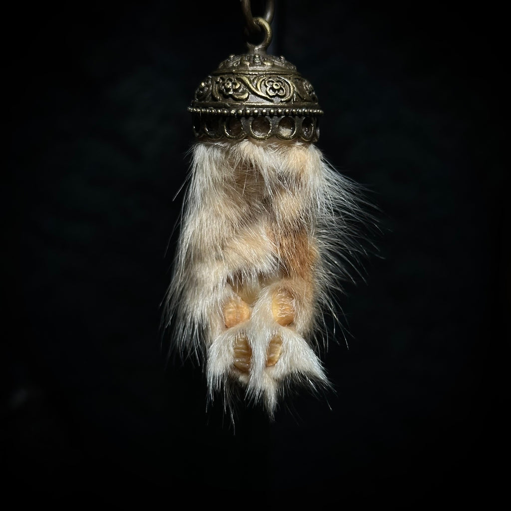 Mummified Cat paw keychain