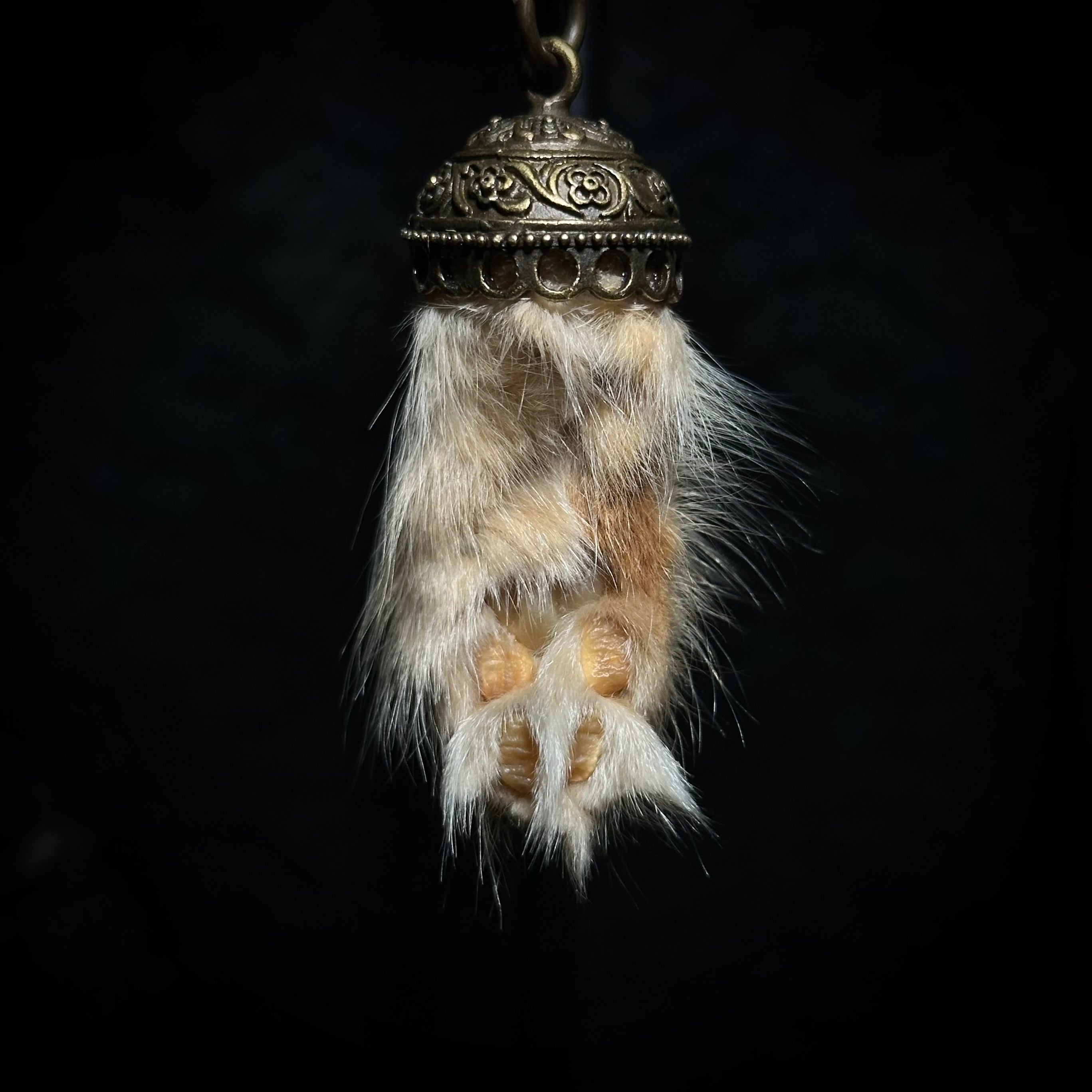 Mummified Cat paw keychain