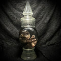 Stillborn Tabby Kitten Specimen