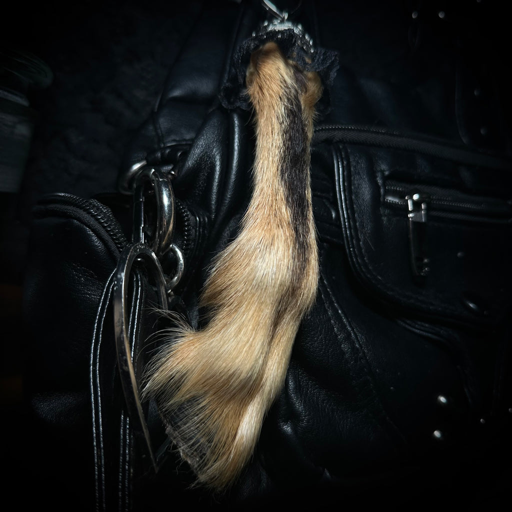Mummified goat kid foot keychain
