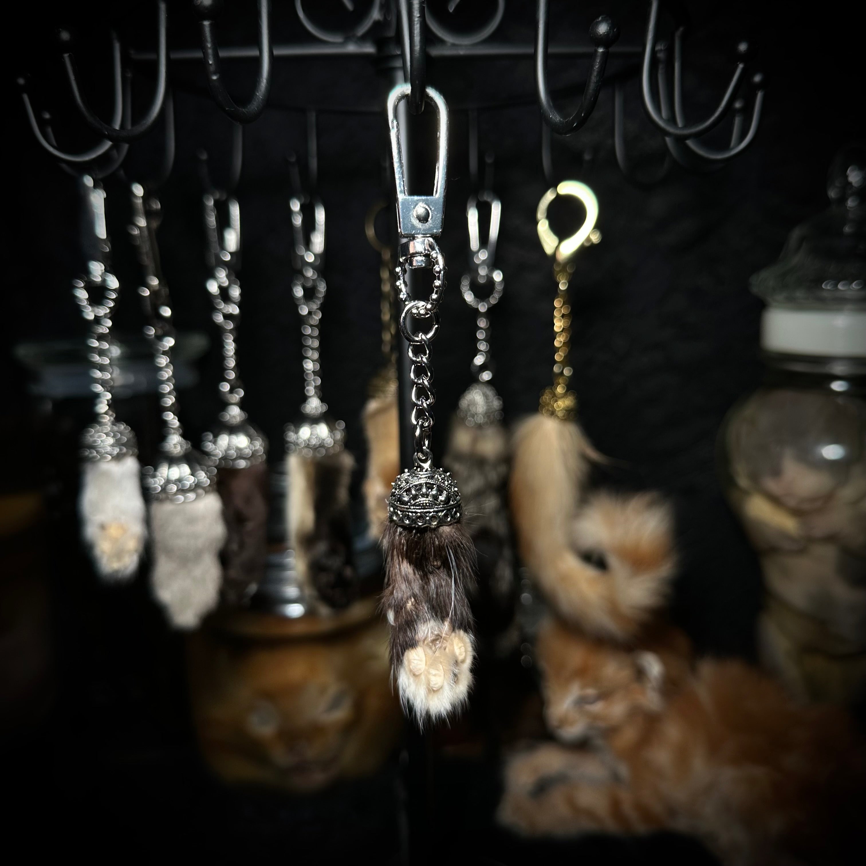 Mummified kitten paw keychains