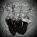 Mummified Black cat paws