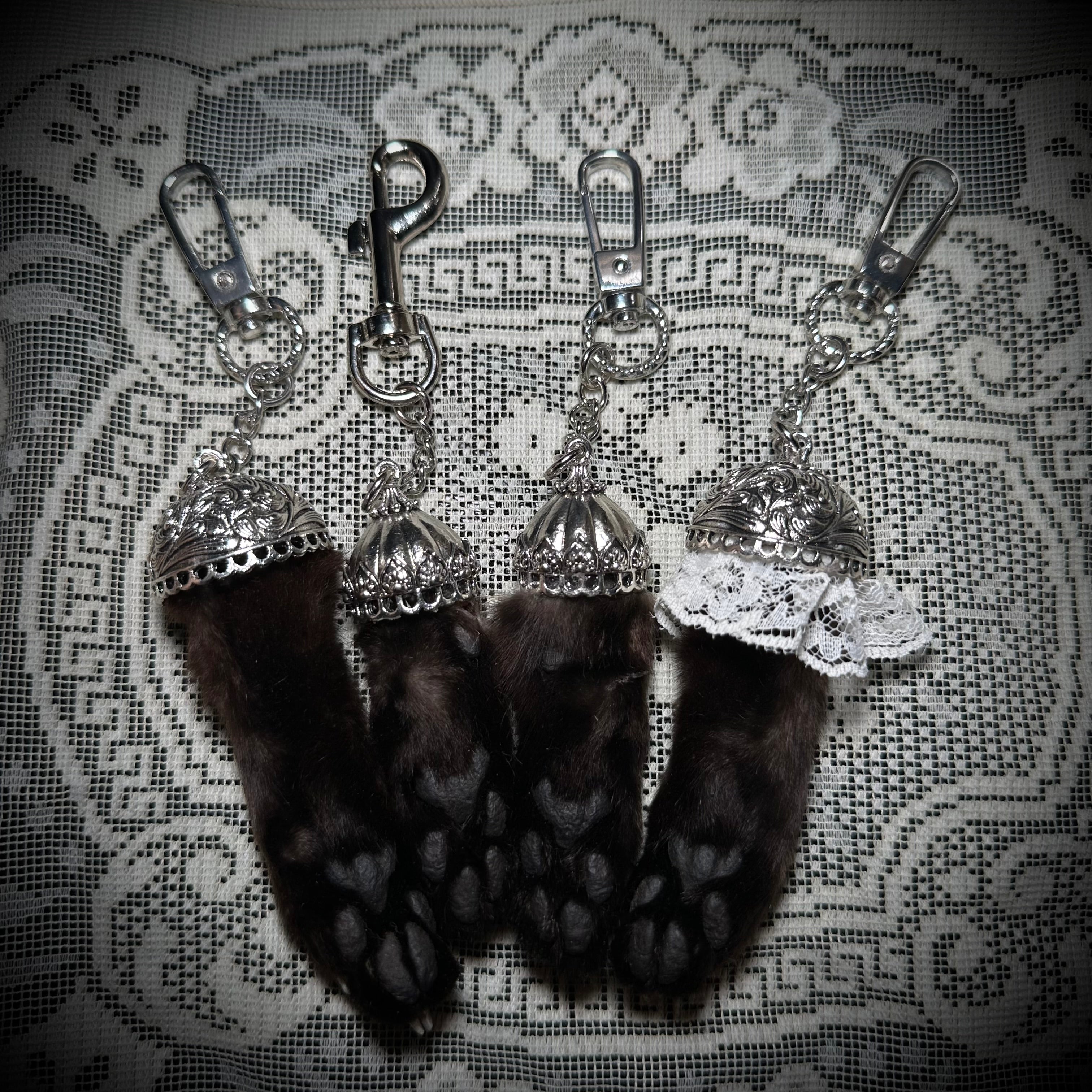 Mummified Black cat paws