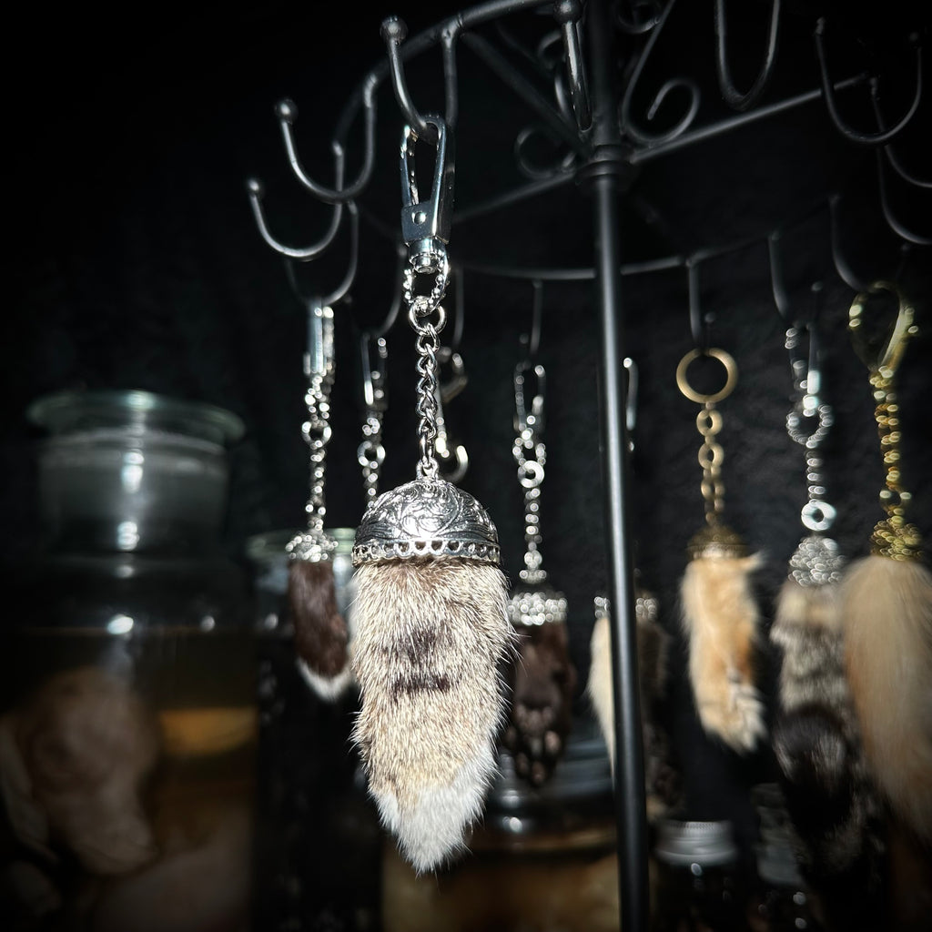 Mummified Cat paw keychains