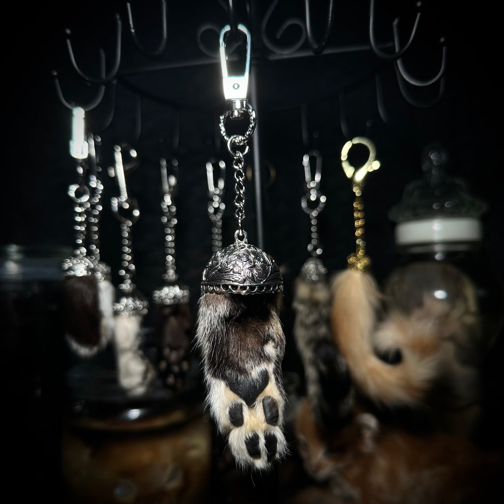 Mummified Cat paw keychains