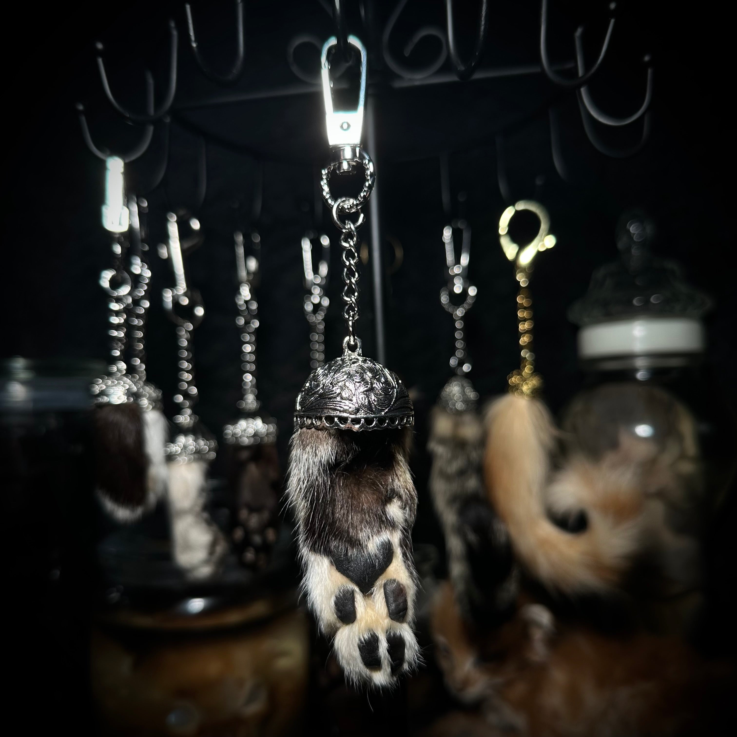Mummified Cat paw keychains