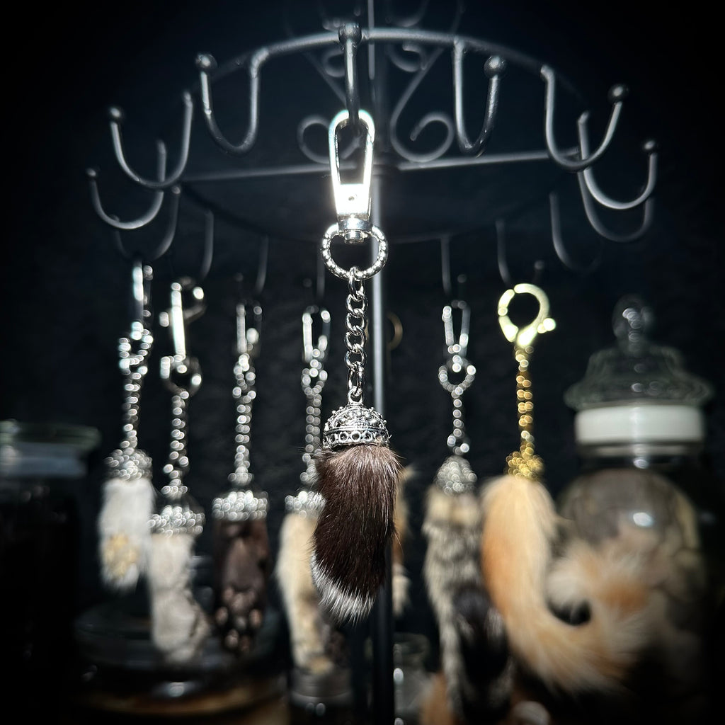 Mummified kitten paw keychains