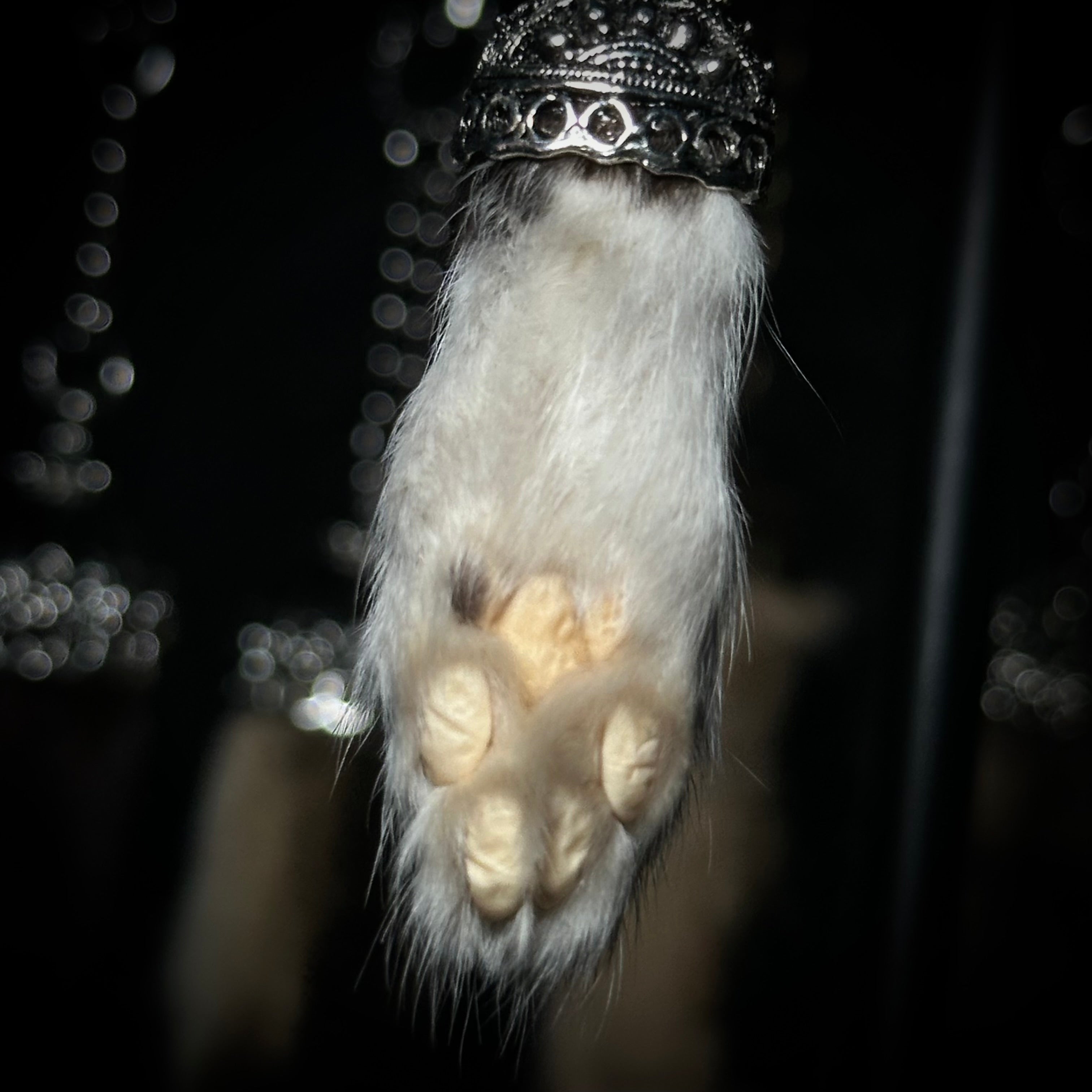 Mummified kitten paw keychains
