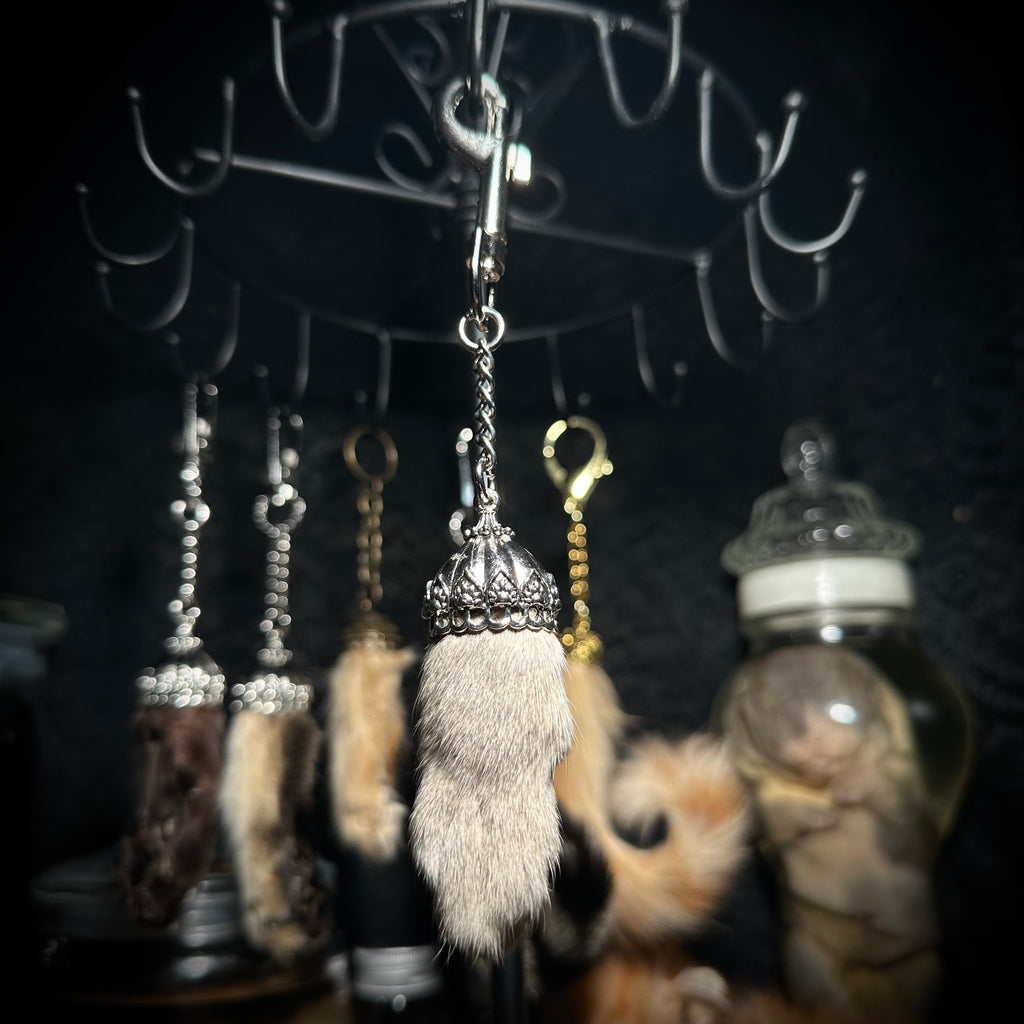 Mummified Cat paw keychain