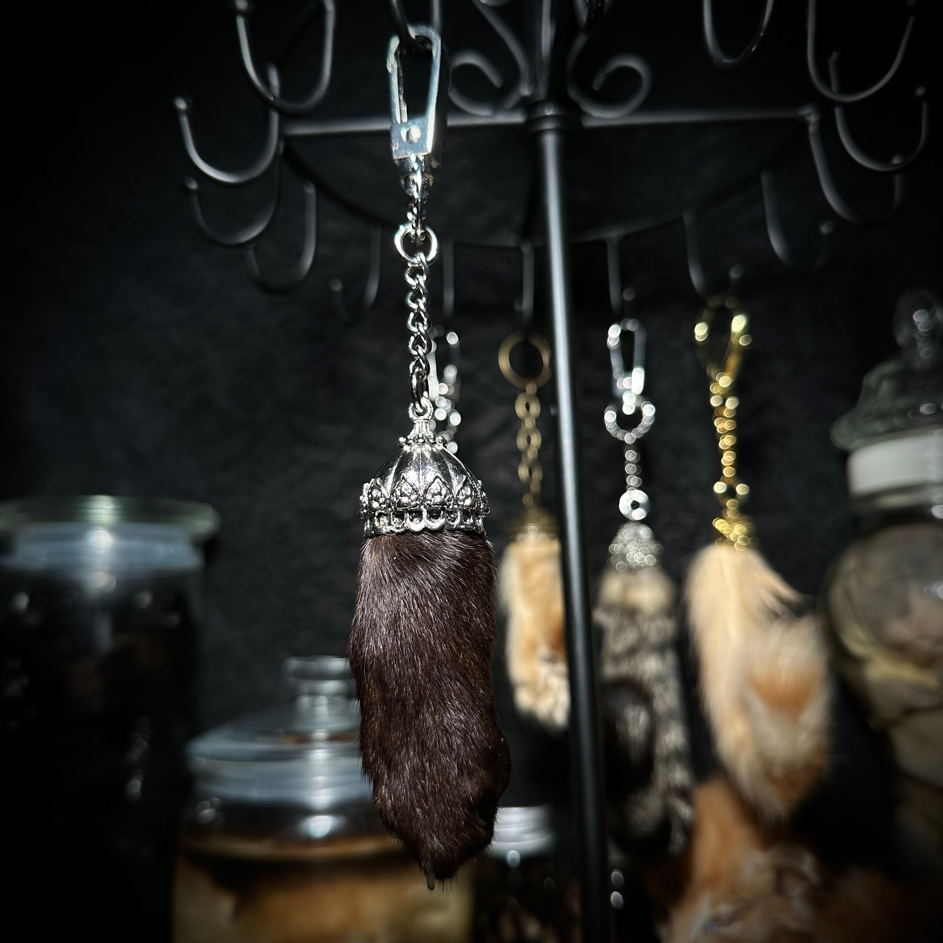 Mummified Cat paw keychain