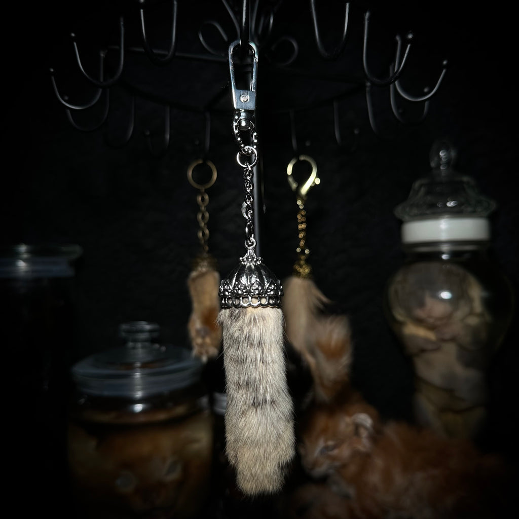 Mummified Cat paw keychain