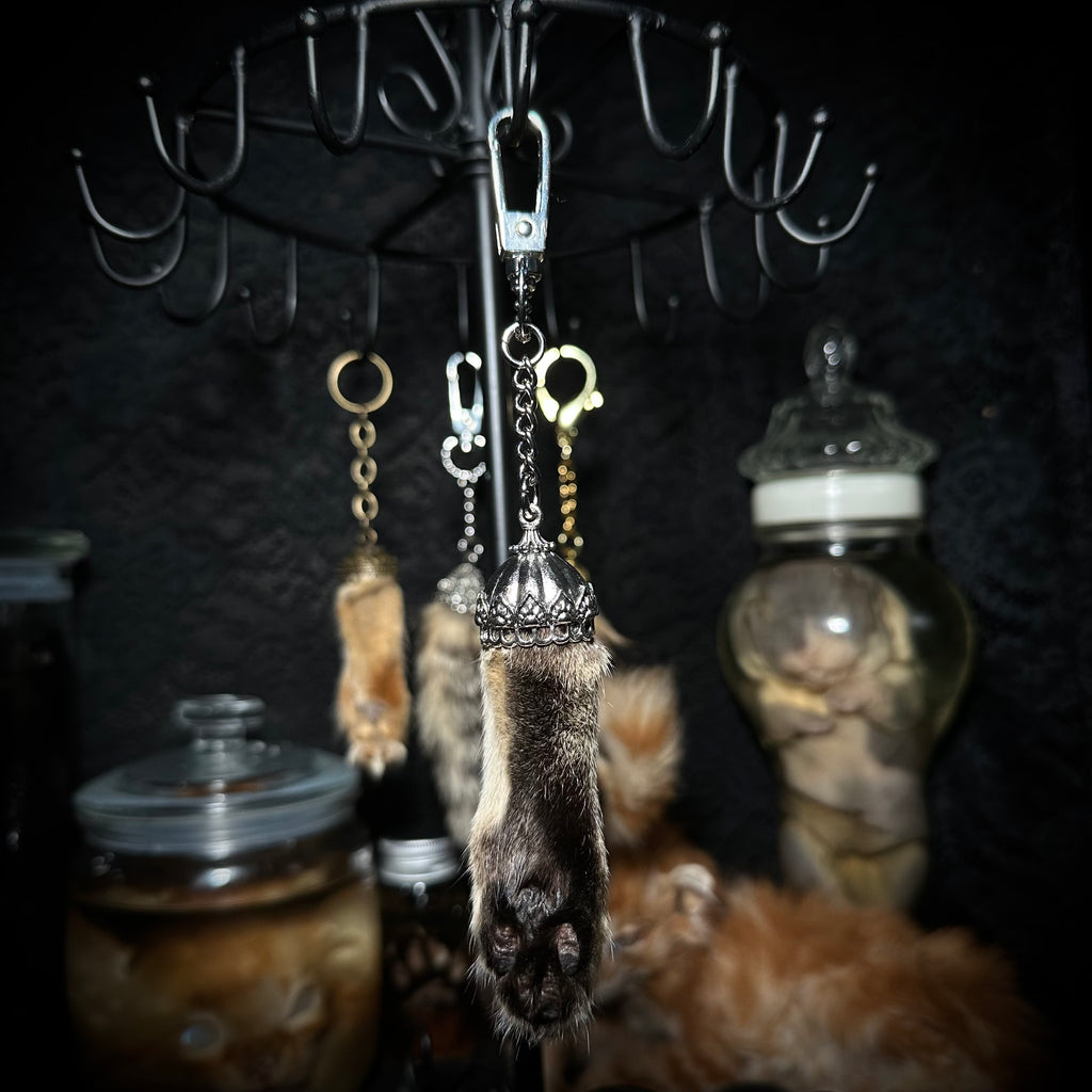 Mummified Cat paw keychain