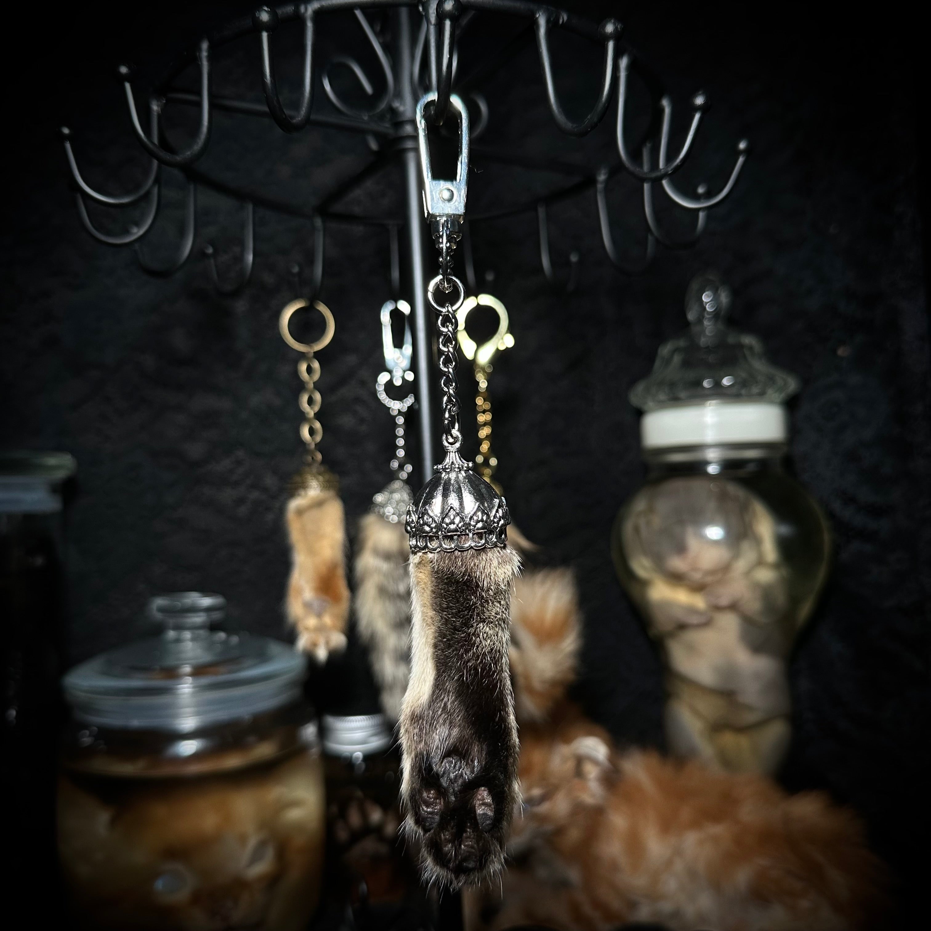 Mummified Cat paw keychain