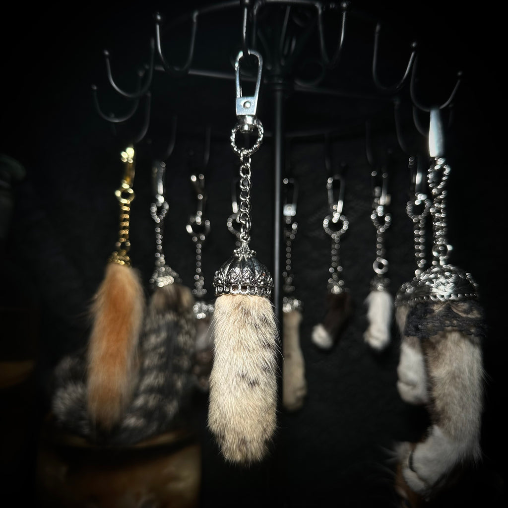 Mummified Cat paw keychain