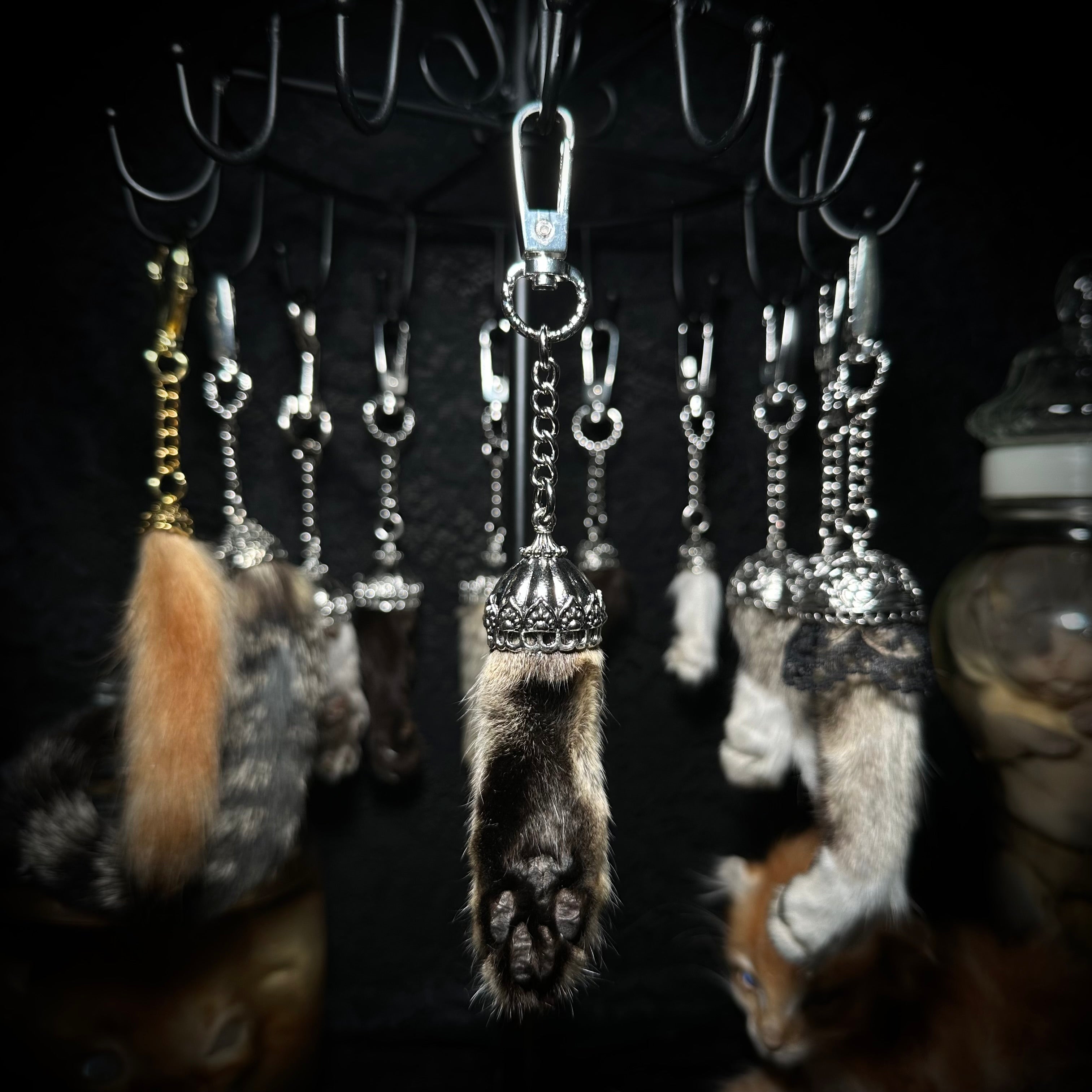 Mummified Cat paw keychain