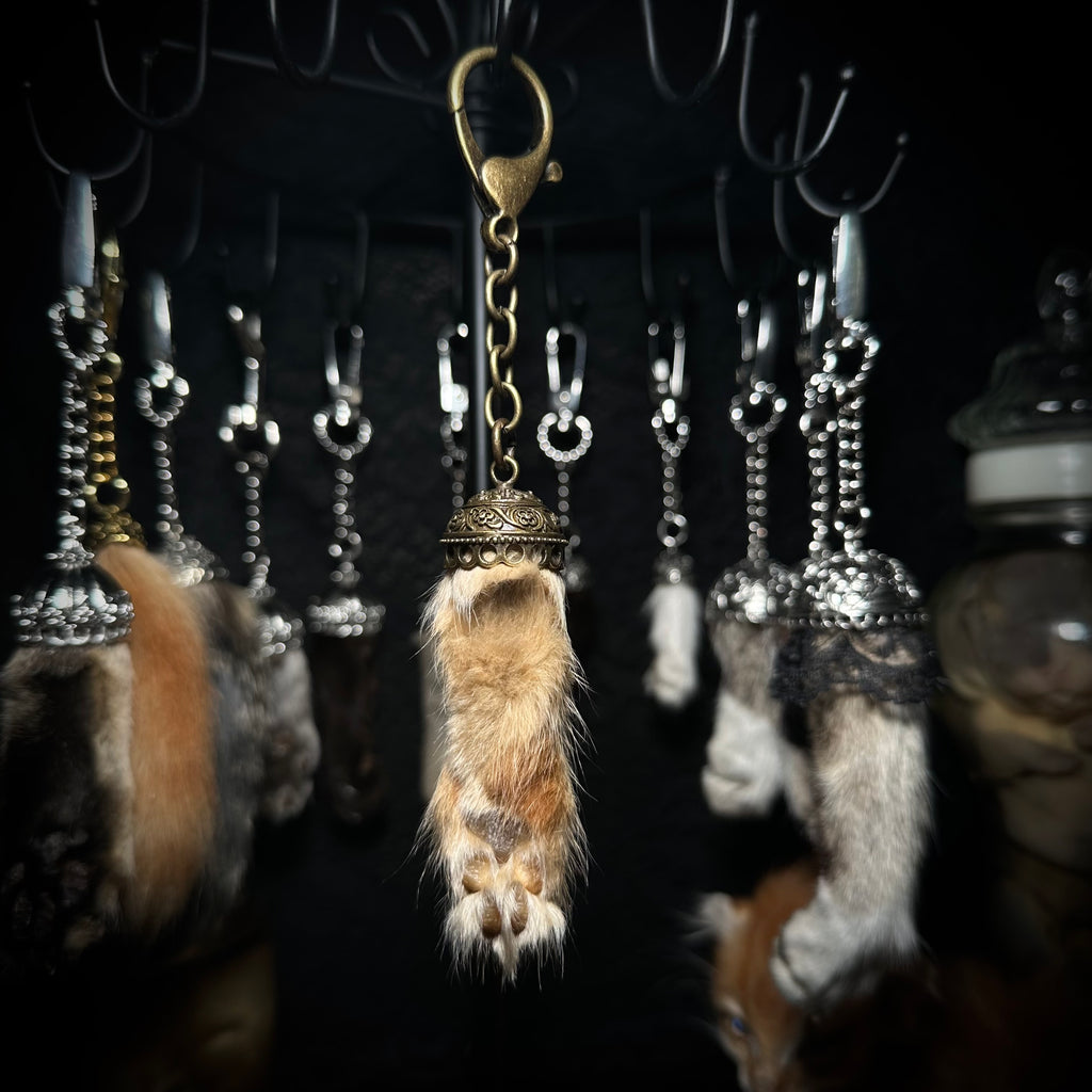 Mummified Cat paw keychain