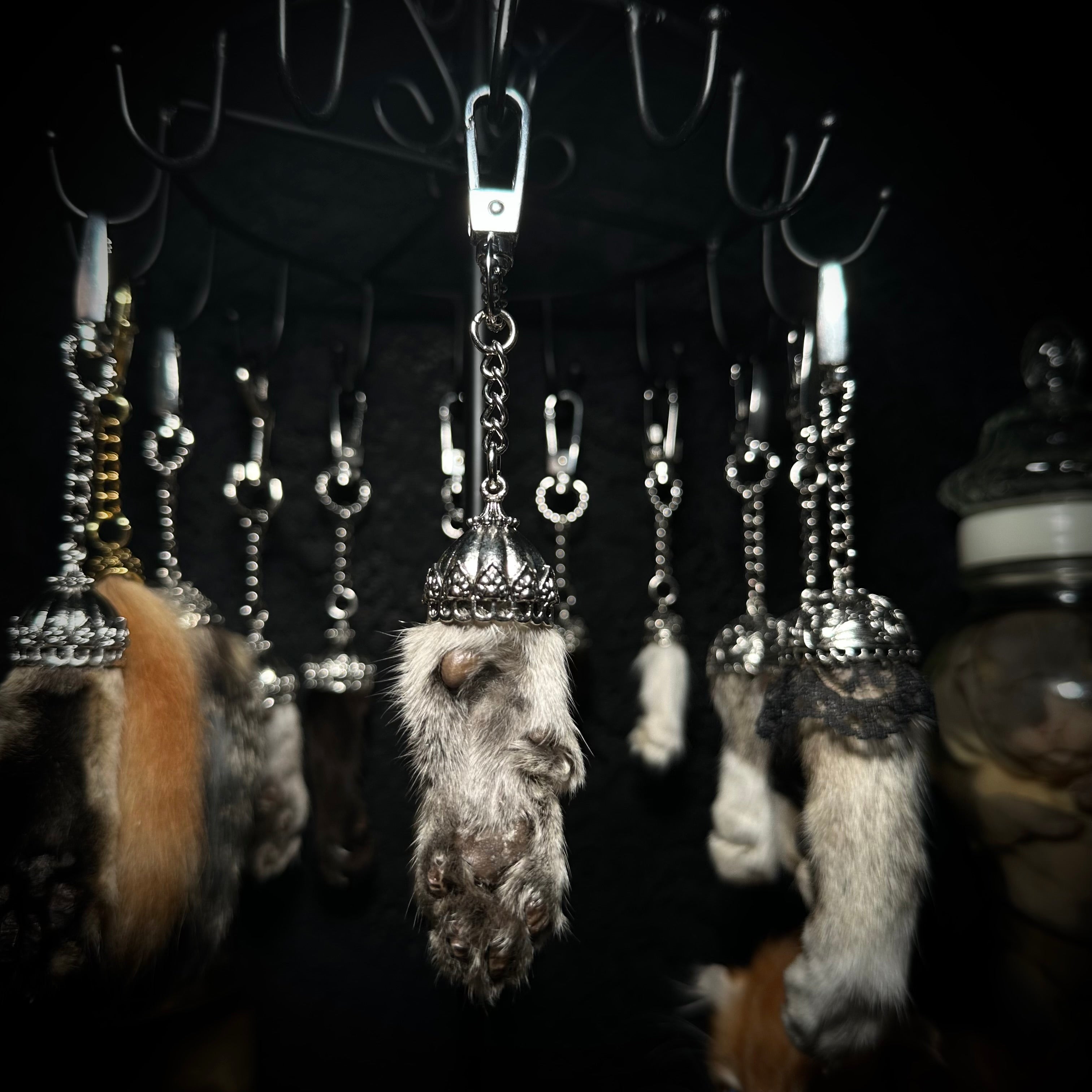 Mummified Cat paw keychain