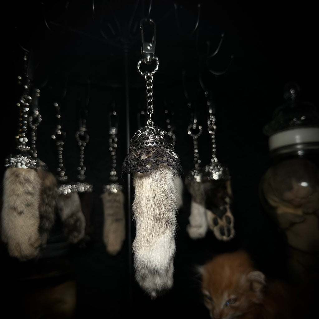 Mummified Cat paw keychains