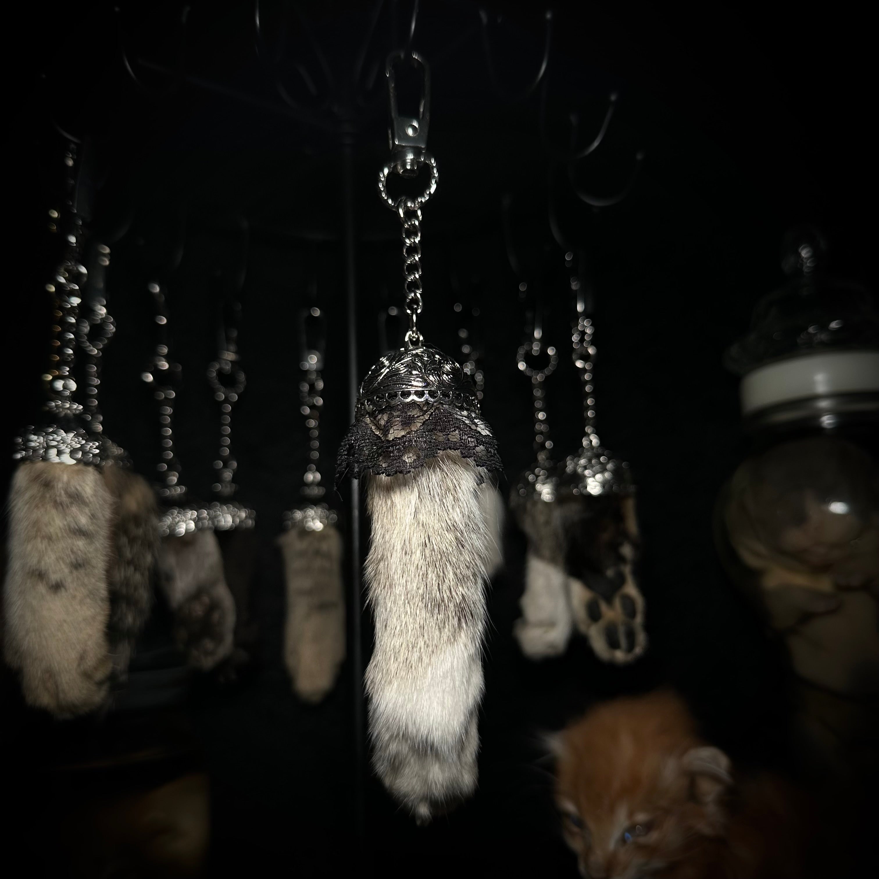 Mummified Cat paw keychains