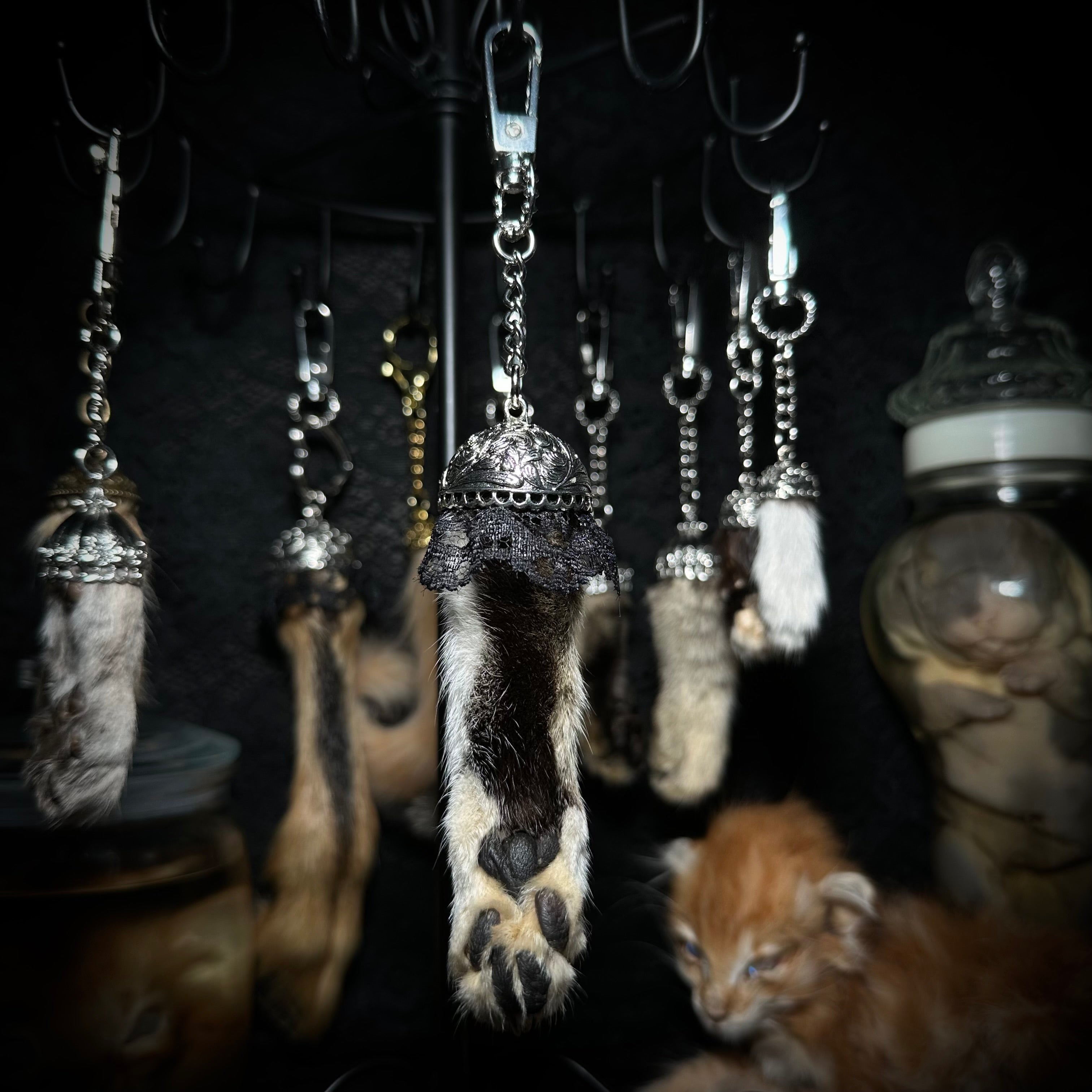 Mummified Cat paw keychains