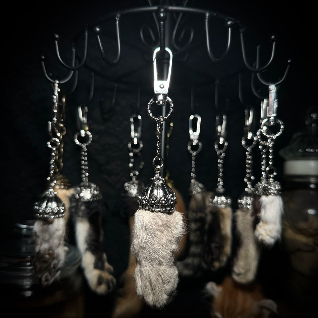 Mummified Cat paw keychain
