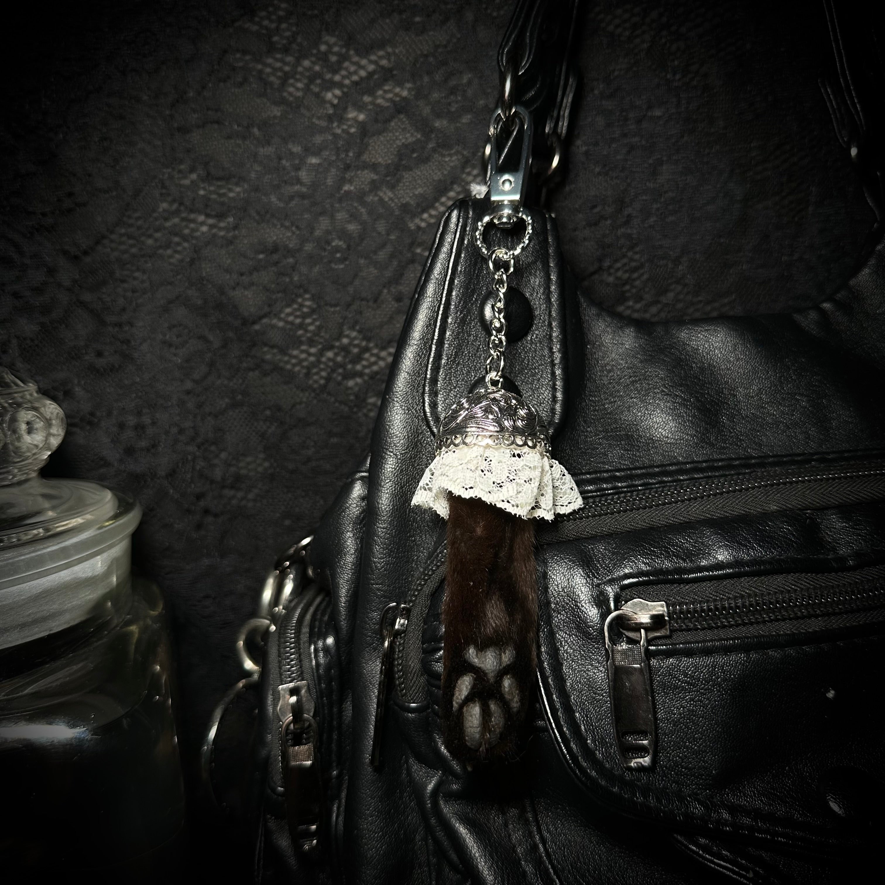 Mummified Black cat paws