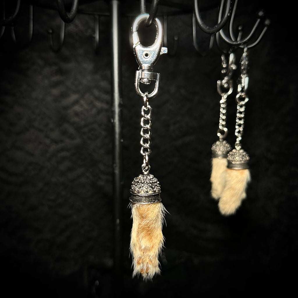 Mummified kitten paw keychains