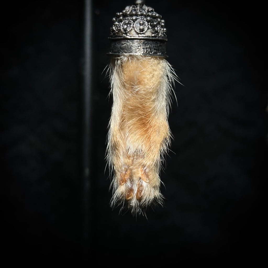 Mummified kitten paw keychains