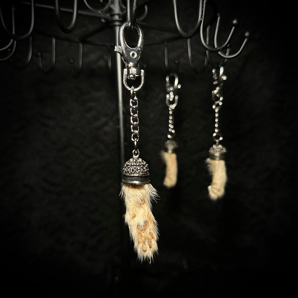 Mummified kitten paw keychains