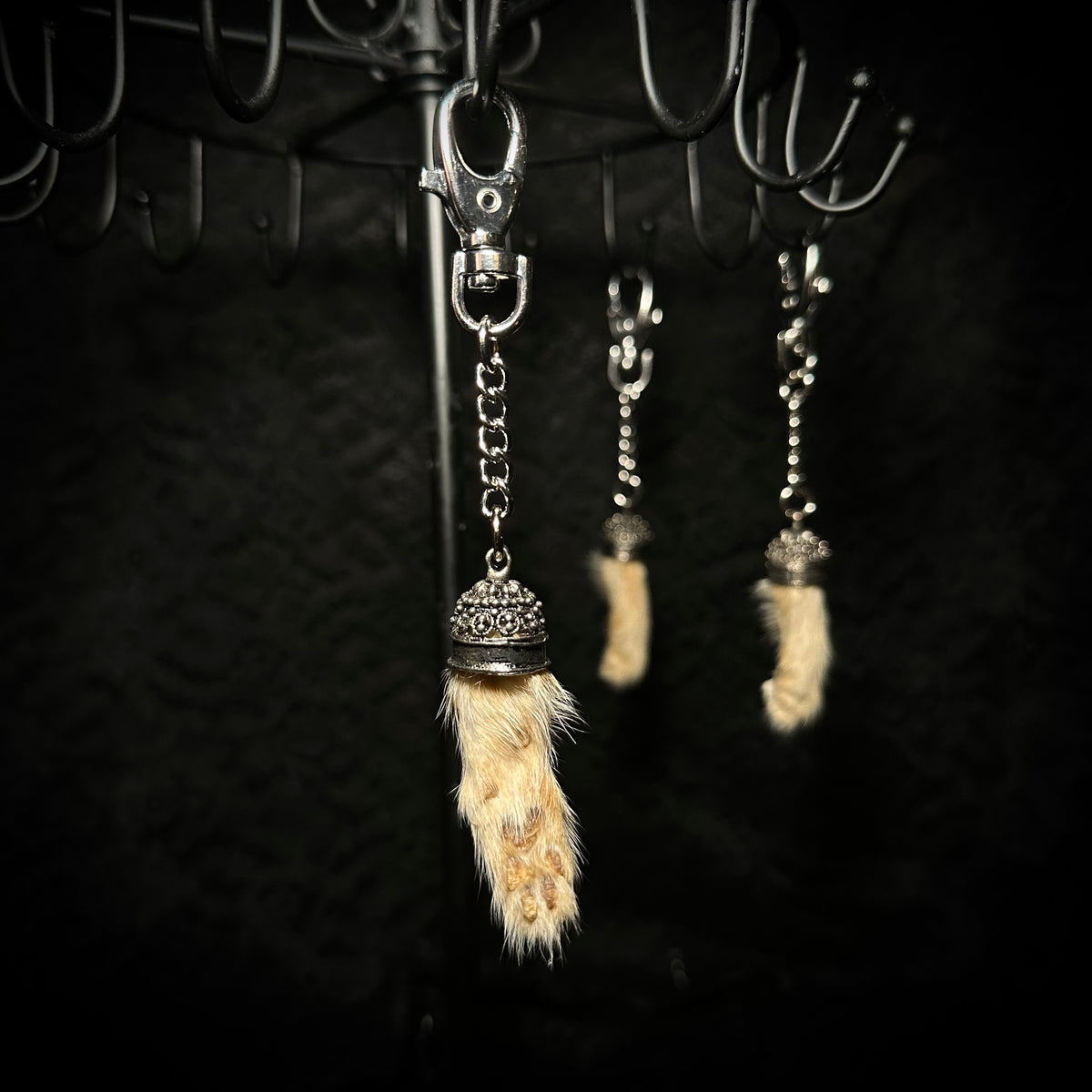 Mummified kitten paw keychains