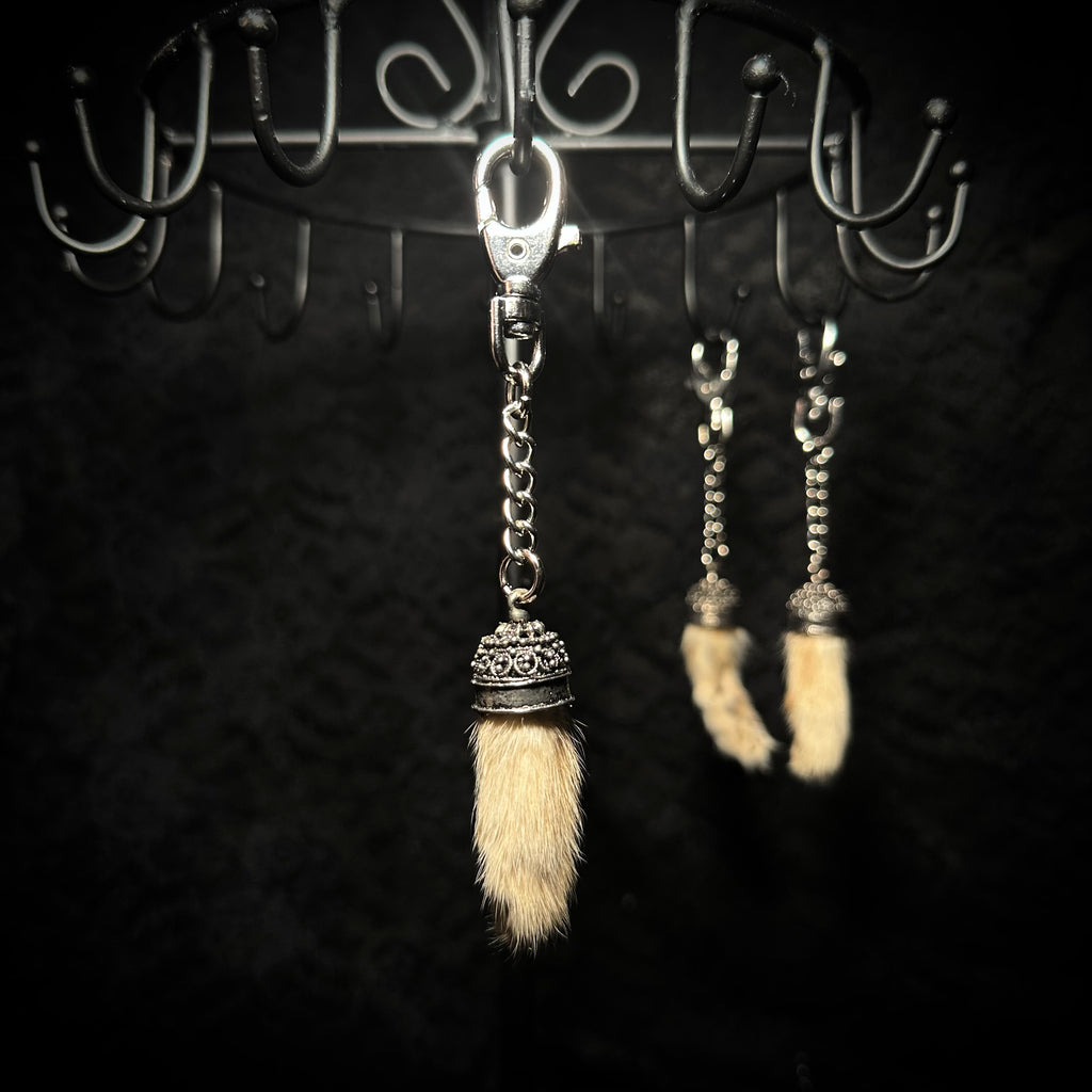 Mummified kitten paw keychains