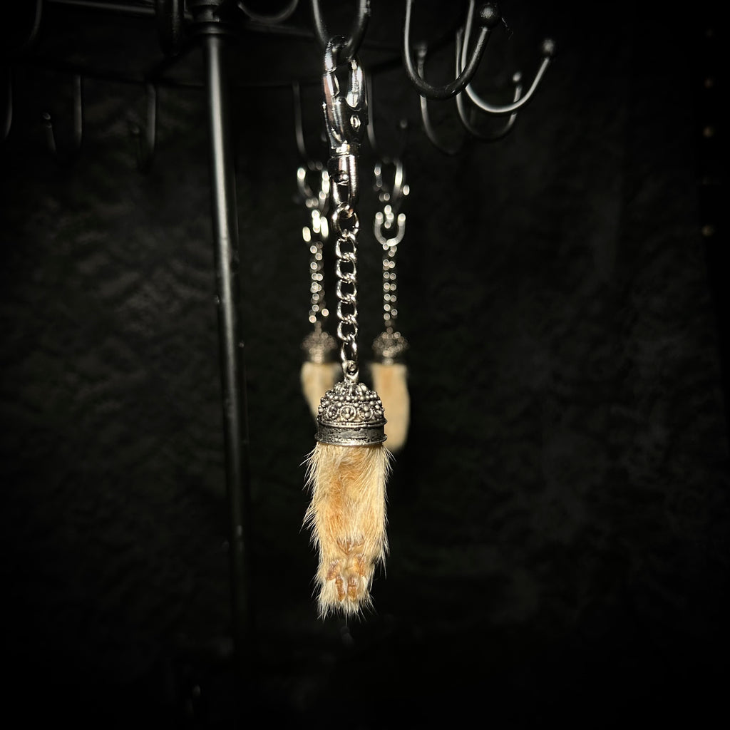 Mummified kitten paw keychains