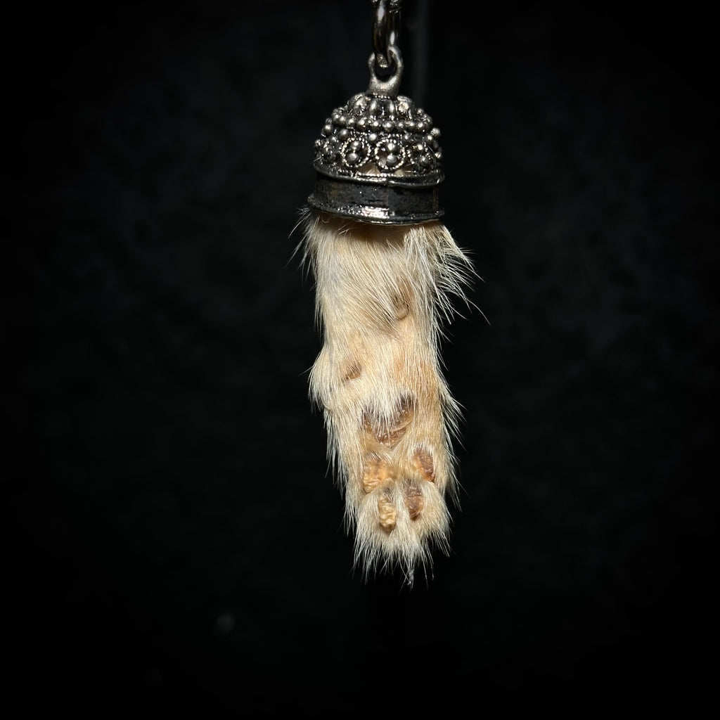 Mummified kitten paw keychains