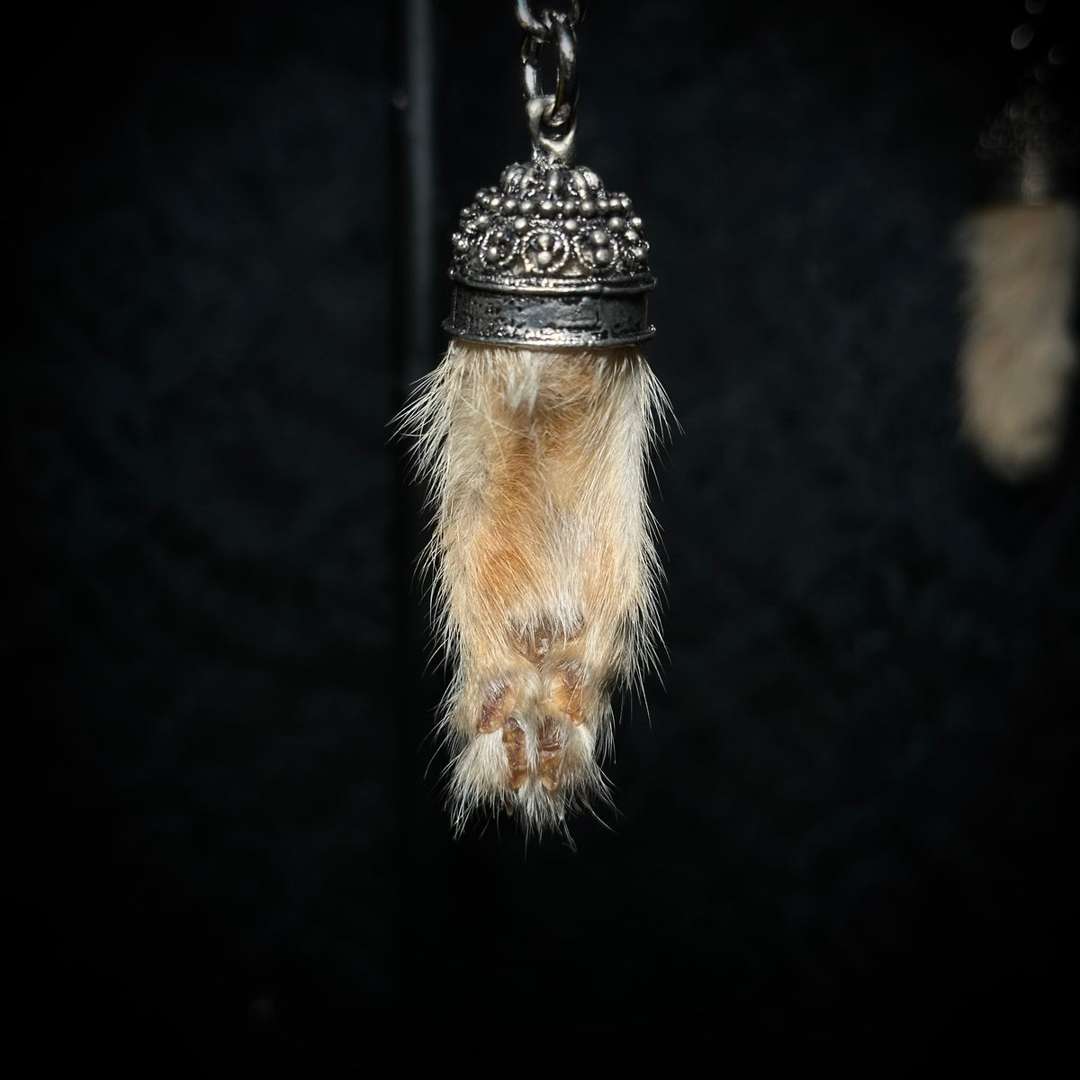 Mummified kitten paw keychains