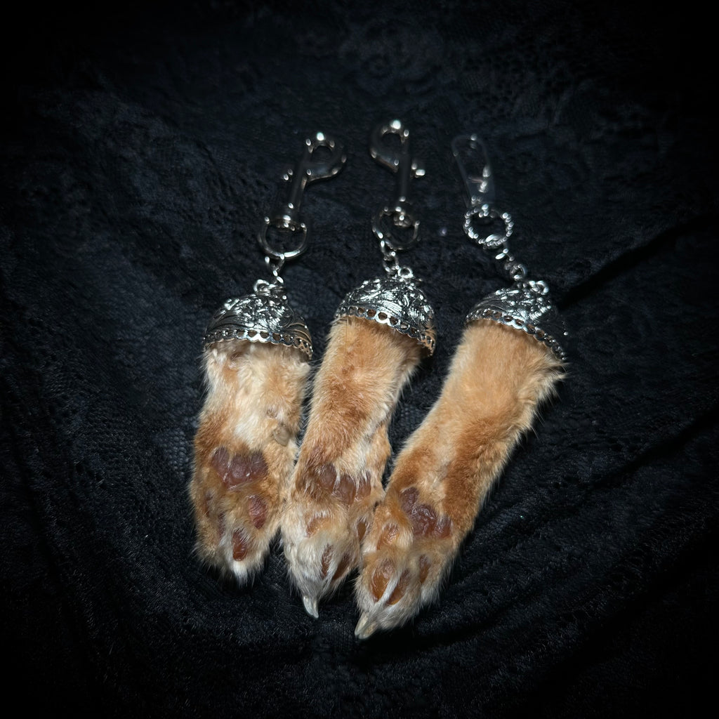 Mummified Orange Cat paw keepsake keychain