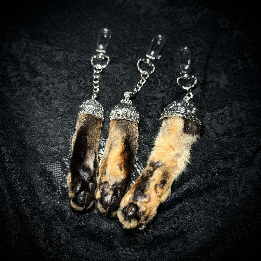 Mummifed Torbie cat paw keepsake keychains
