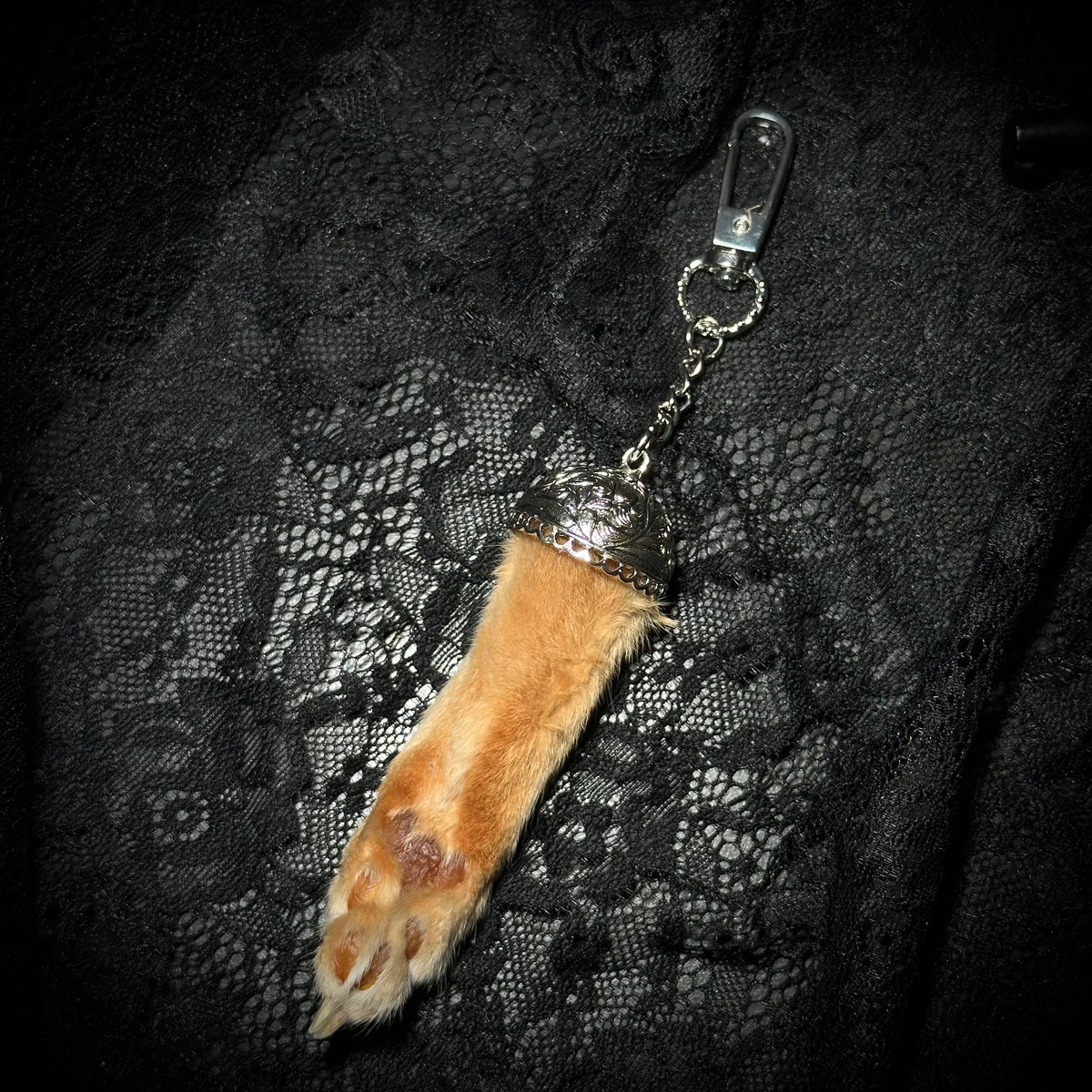 Mummified Orange Cat paw keepsake keychain