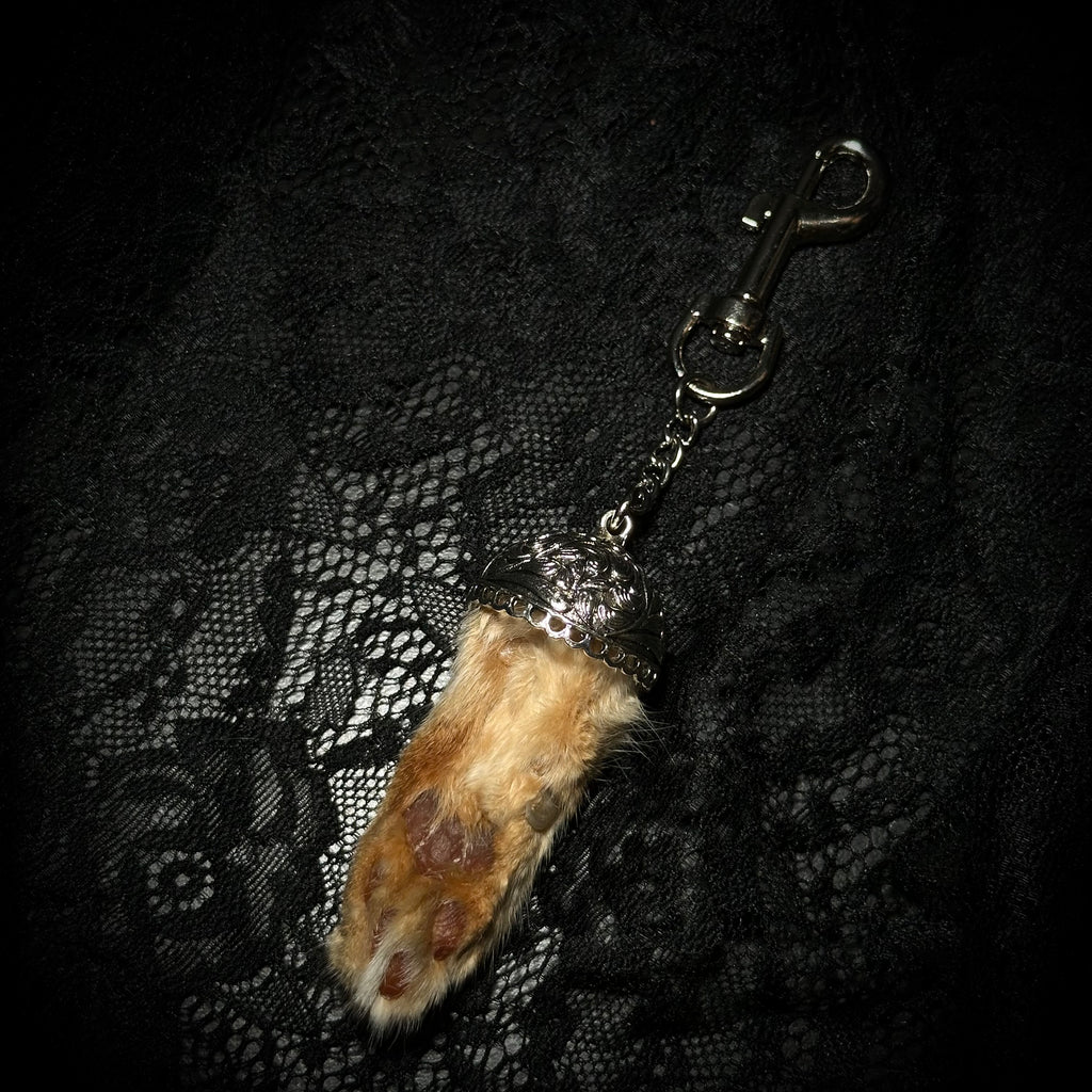 Mummifed Torbie cat paw keepsake keychains